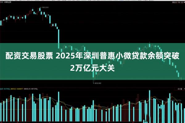 配资交易股票 2025年深圳普惠小微贷款余额突破2万亿元大关