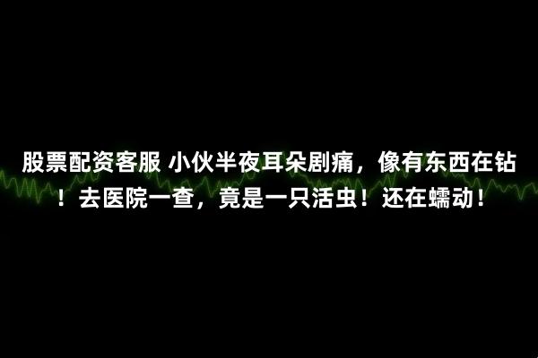 股票配资客服 小伙半夜耳朵剧痛,像有东西在钻!去医院一查,竟是一只活虫!还在蠕动!